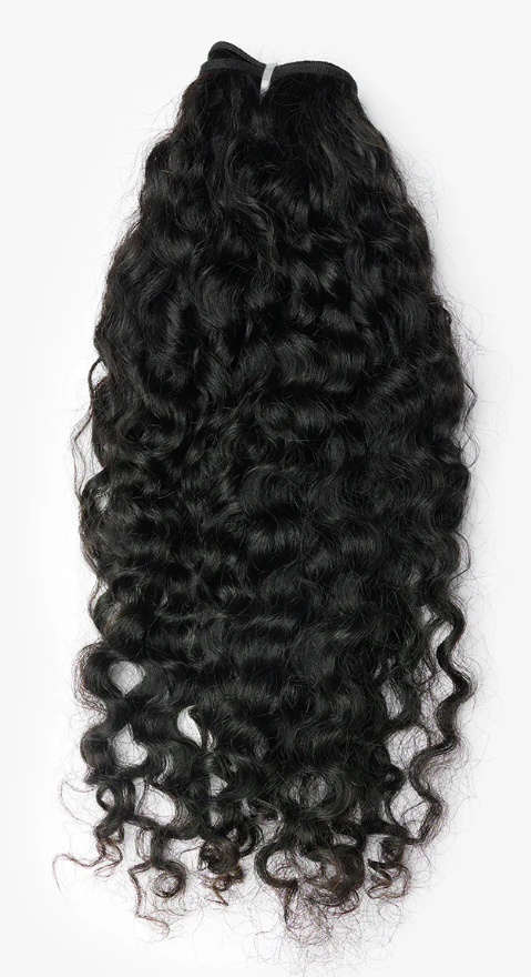 Raw Burmese Curly
